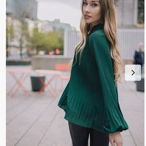 Papillon Women’s Long Sleeve Pleated Blouse Top Medium Green Career Office